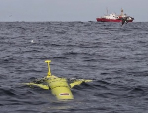 CSS Hudson in the background as the glider is inspected by  seabirds.