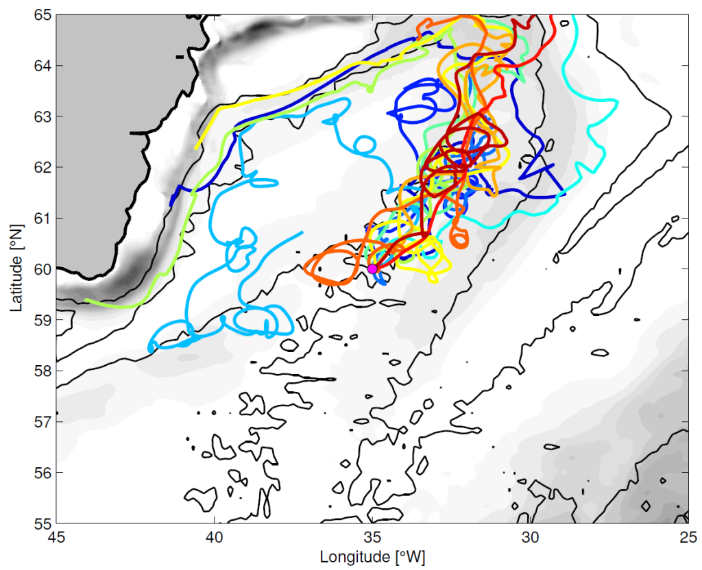 Tracks of 12 virtual RAFOS deployed at the same location as in the previous plot. For these deployments we used the time varying model flow field. Each RAFOS is launched on January 1st of consecutive years. The grey shading indicates where the model flow field is most variable.