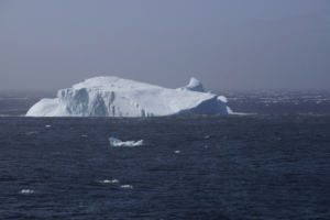 Iceberg