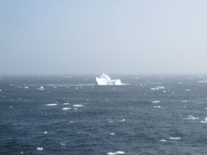 The first icebergs (Photographs: Nora Fried)