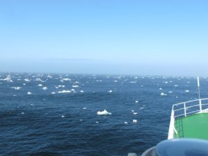 The first icebergs (Photographs: Nora Fried)