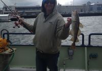 Crew member Leo Fitz catches a cod right off the ship in Reykjavik harbor!