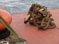 160802_Mooring_weight_chain