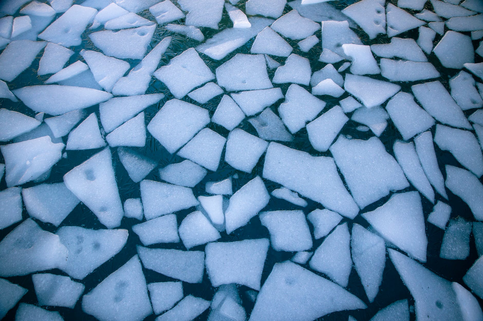 ice pieces in water
