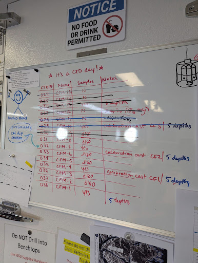 White board in the lab with a title that reads "It's a CTD day!" And below the title is a long list of CTD station numbers, names, samples, and notes. There are some doodles on the sides of the whiteboard, indicating a fun vibe on the ship.